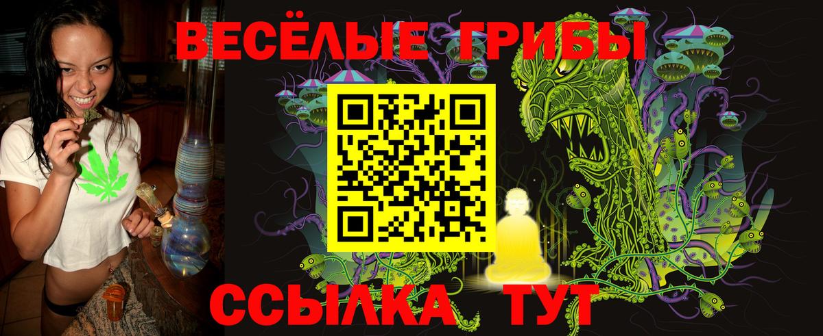 Галлюциногенные грибы мицелий  Вход с VPN  Углич 