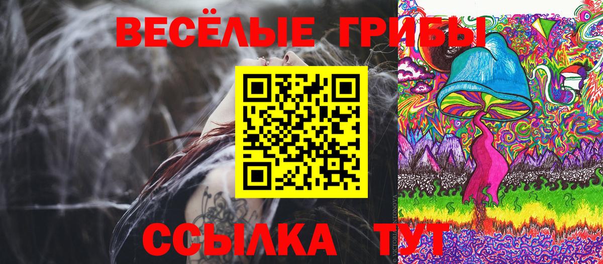 Псилоцибиновые грибы Cubensis Углич
